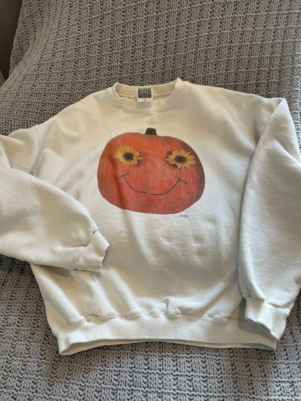 Pumpkin. Sweatshirt Medium - Picture 1 of 4